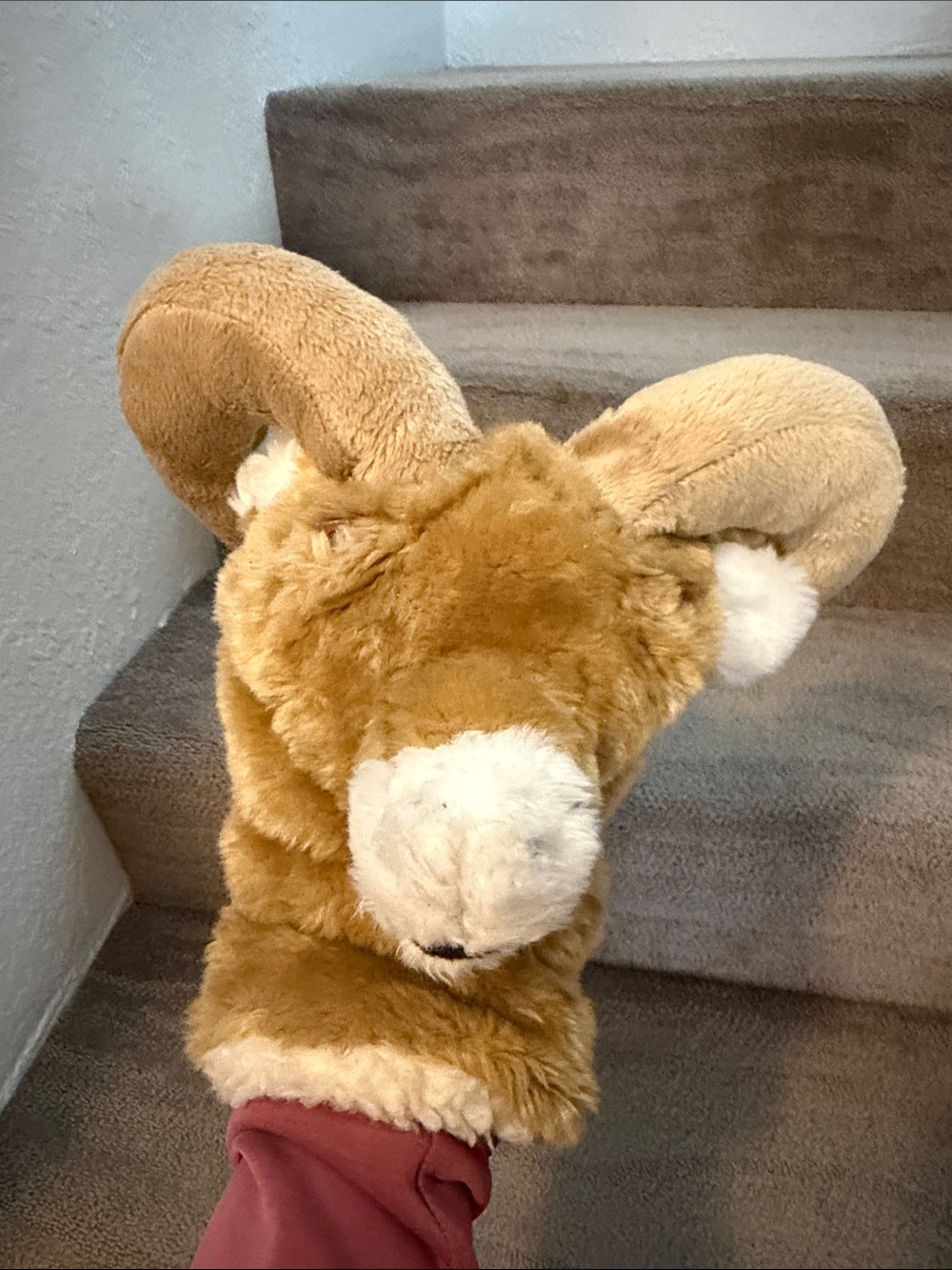 Plush Ram Golf Headcover in Golden Brown and Cream